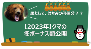 【2023年冬⛄】クマのボーナス額公開！【はちみつ何個分？】